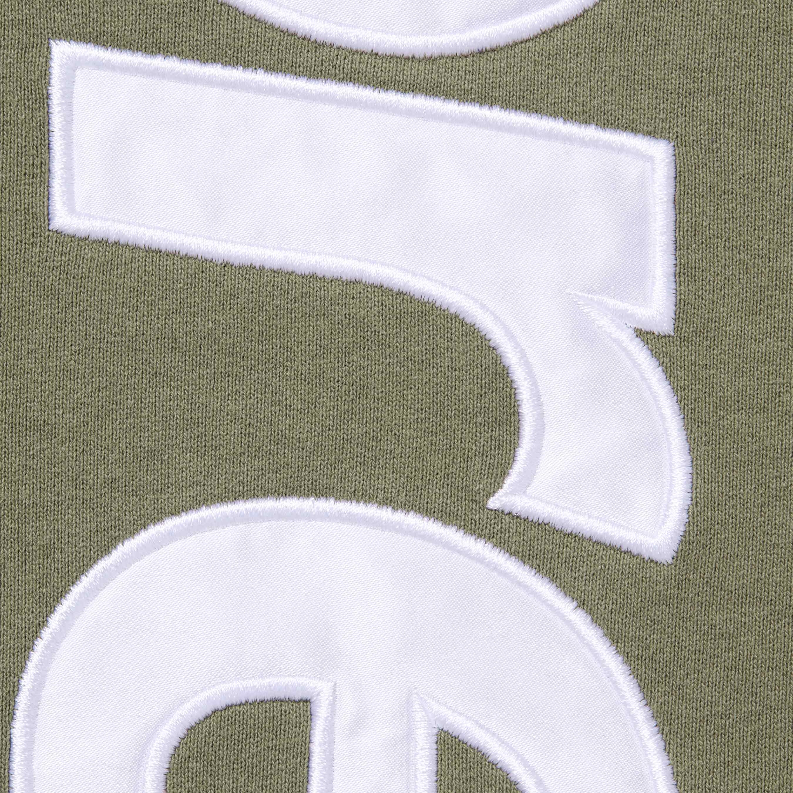 Satin Appliqué Hooded Sweatshirt view 19